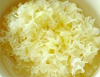 化妆品原料之银耳提取物介绍