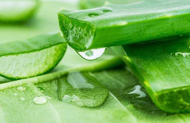 库拉索芦荟提取物的护肤功效与作用有哪些？